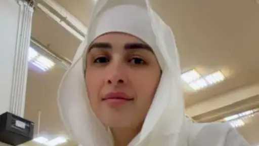 فن