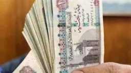أخبار مصر