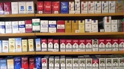 أخبار مصر