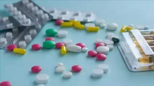أخبار مصر