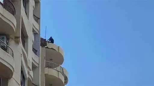 أخبار مصر