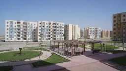 أخبار مصر