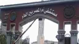 أخبار مصر