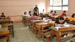 أخبار مصر