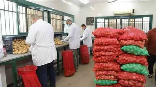 أخبار مصر