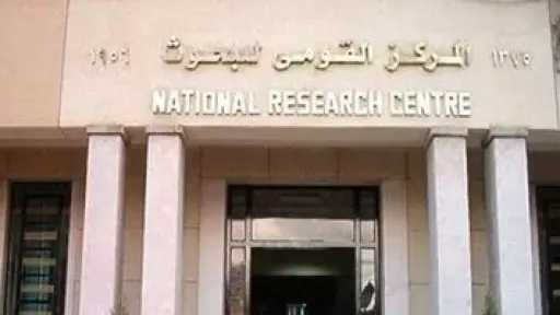 أخبار مصر