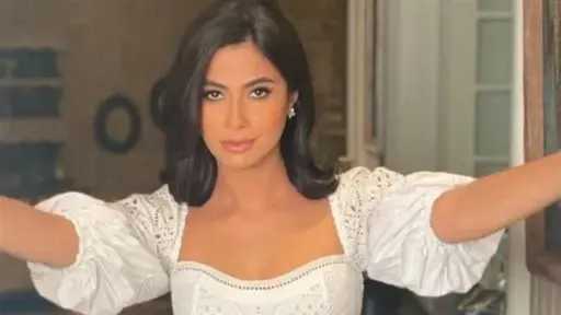 فن