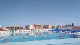 أخبار مصر
