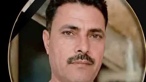 أخبار مصر