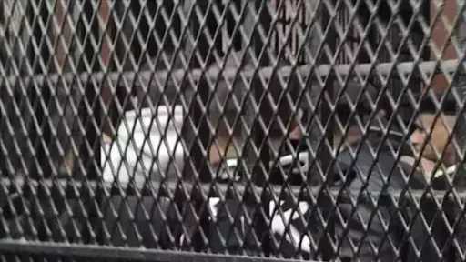أخبار مصر