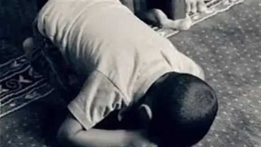 أخبار مصر