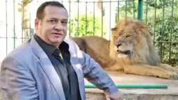 أخبار مصر