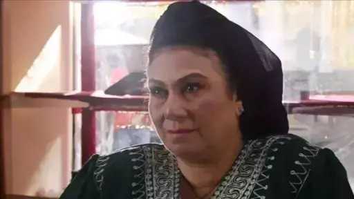 فن