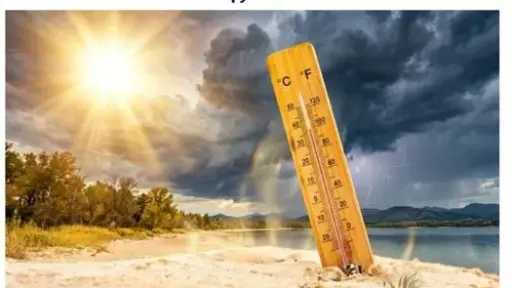 أخبار مصر