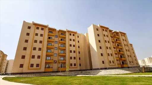 أخبار مصر