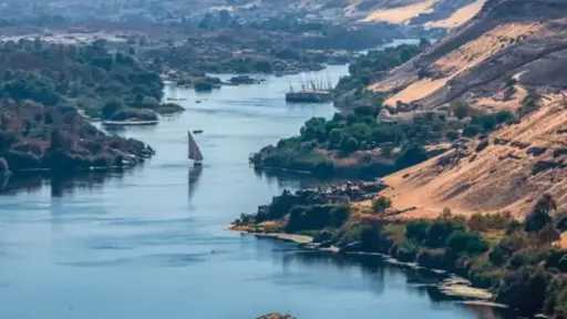 أخبار مصر