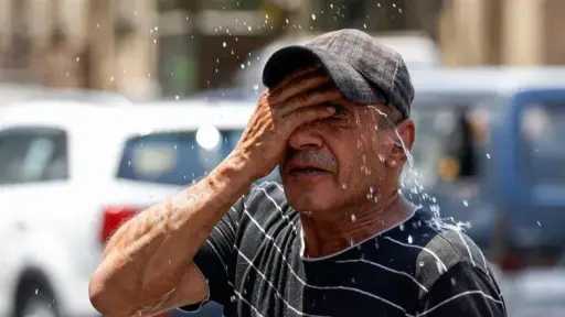 أخبار مصر