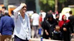 أخبار مصر