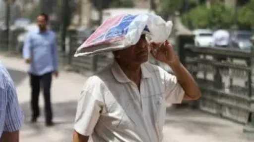 أخبار مصر