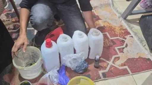 أخبار مصر