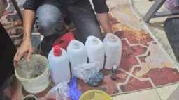 أخبار مصر