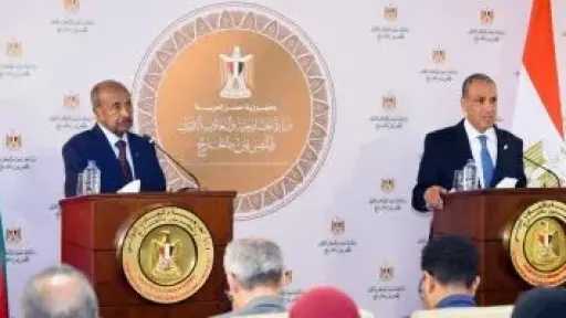 أخبار مصر