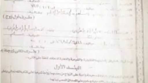 أخبار مصر