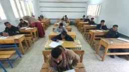 أخبار مصر