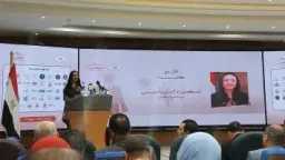أخبار مصر