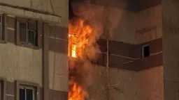 أخبار مصر