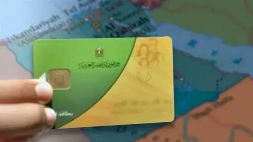 أخبار مصر