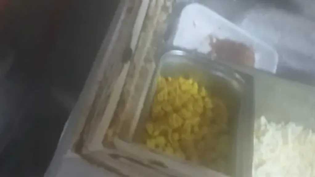 أخبار مصر