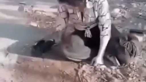 أخبار مصر