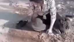 أخبار مصر
