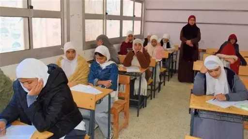 أخبار مصر