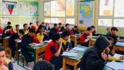 أخبار مصر