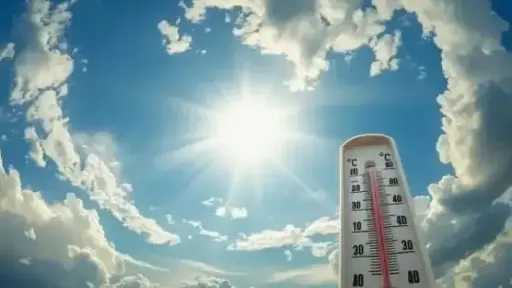 أخبار مصر