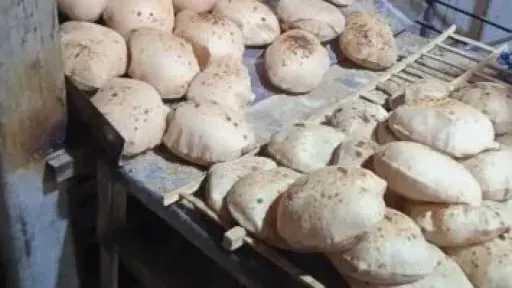أخبار مصر