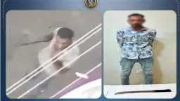 أخبار مصر