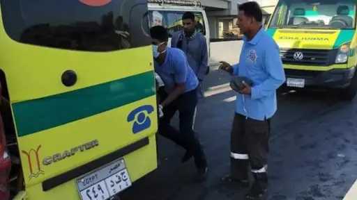 أخبار مصر