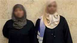 أخبار مصر