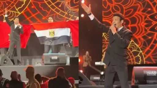 فن
