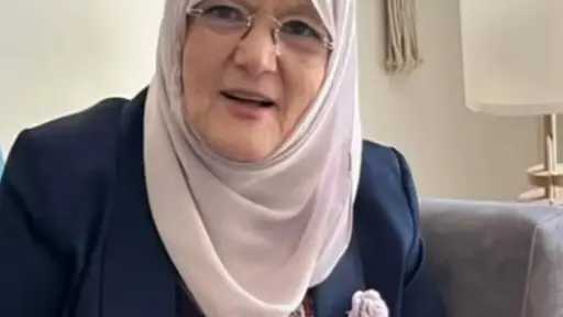 فن