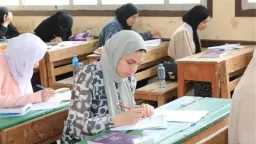 أخبار مصر