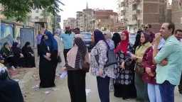أخبار مصر