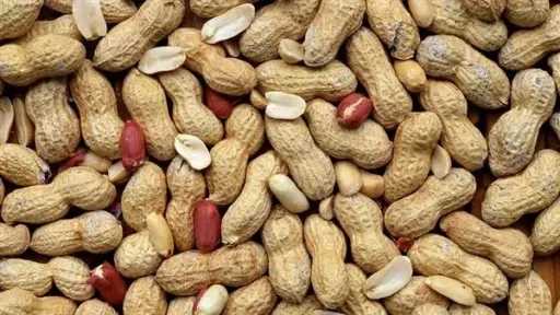 أخبار مصر
