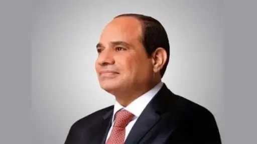 فن