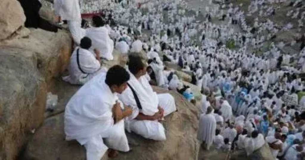 أخبار مصر