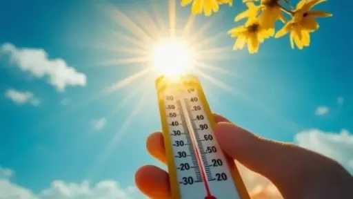 أخبار مصر