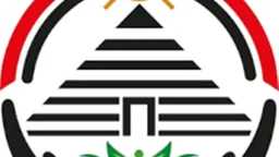أخبار مصر
